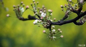 婚情不负好春光,共谱婚恋新篇章