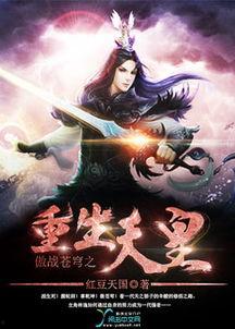 九品帝师,权谋巅峰的神秘传奇